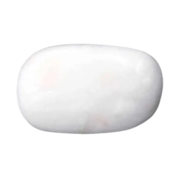 White Coral